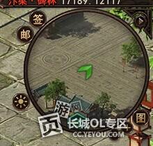 005.jpg